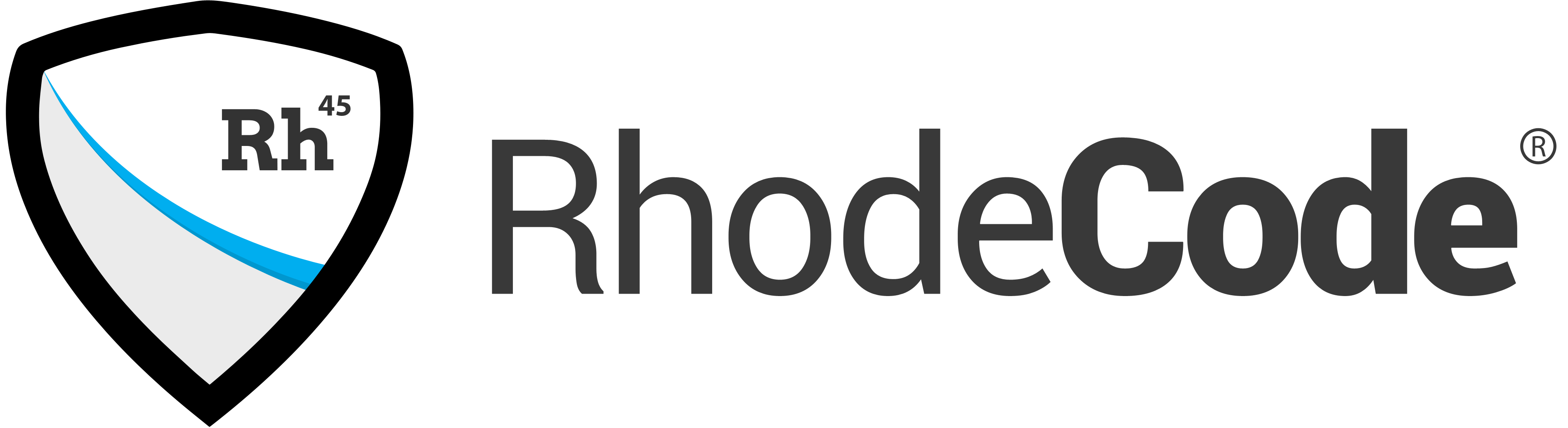 RhodeCode Inc.